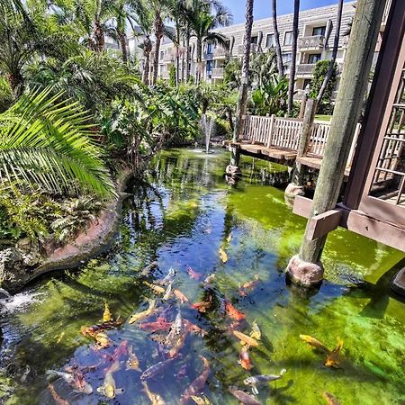 Charming Oceanside Condo With Beach And Pool Access! ภายนอก รูปภาพ