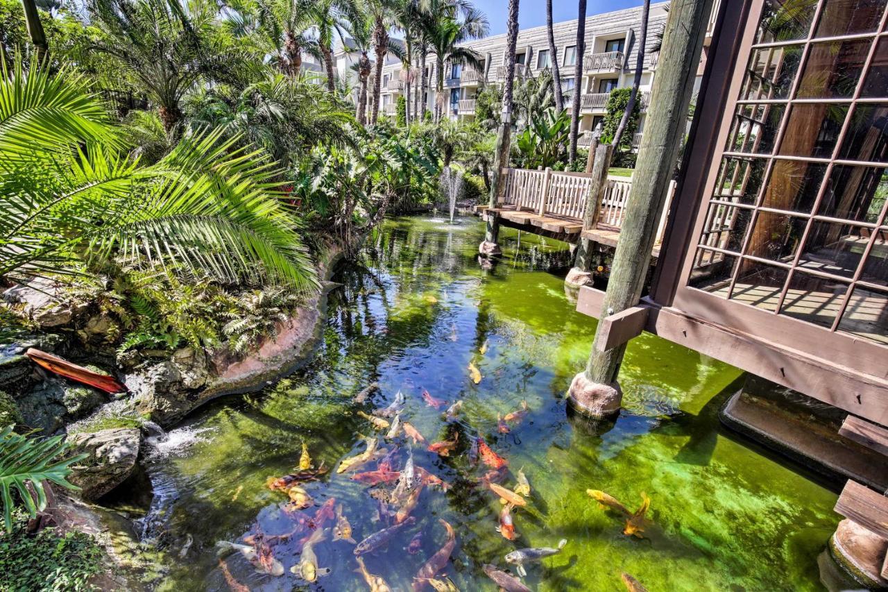 Charming Oceanside Condo With Beach And Pool Access! ภายนอก รูปภาพ